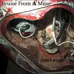 Contango - EP by Bruise from a Muse album reviews, ratings, credits