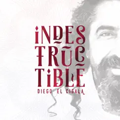 Indestructible by Diego El Cigala album reviews, ratings, credits
