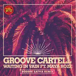 Waiting in Vain (feat. Maya Roze) [Boddhi Satva Afriki Bassless Mix] Song Lyrics