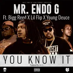 You Know It (feat. Lil Flip, Bigg Reed & Young Deuce) - Single by Mr. Endo G album reviews, ratings, credits