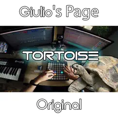 Tortoise (Live Launchpad Mix) Song Lyrics