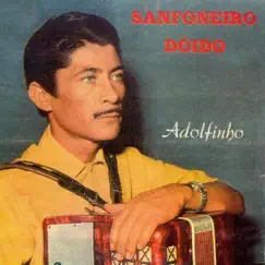 Sanfoneiro Doido by Adolfinho album reviews, ratings, credits