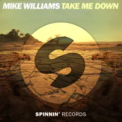 Take Me Down Song Lyrics