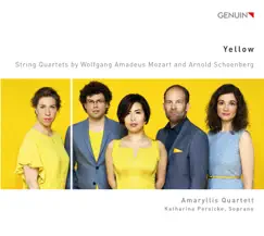 Yellow by Amaryllis Quartett & Katharina Persicke album reviews, ratings, credits