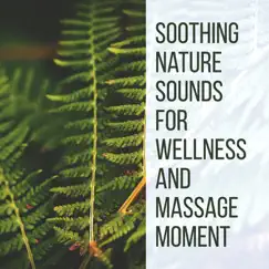 Soothing Nature Sounds for Wellness and Massage Moment: Life in Balance & Healing Your Heart, Lift Your Mood with New Age Music by Healing Oriental Spa Collection album reviews, ratings, credits