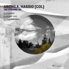 The Strains I - Single by Archila & Hassio album reviews, ratings, credits