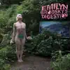 Emilyn Brodsky's Digestion album lyrics, reviews, download
