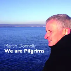 We Are Pilgrims by Martin Donnelly album reviews, ratings, credits