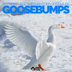 Goosebumps (feat. Jost Music) Song Lyrics