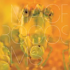 Macrocosms by Michel Banabila & Machinefabriek album reviews, ratings, credits