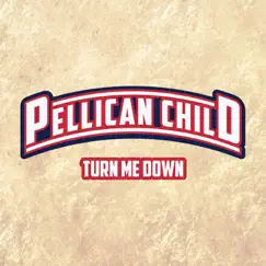 Turn Me Down - Single by Pellican Child album reviews, ratings, credits