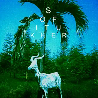 Drinkee - Single by Sofi Tukker album download