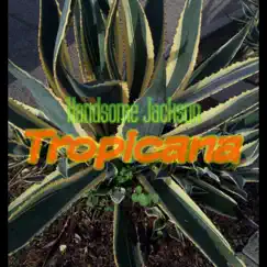 Tropicana - Single by Handsome Jackson album reviews, ratings, credits