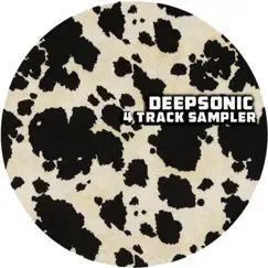 4 Track Sampler - EP by Deepsonic album reviews, ratings, credits