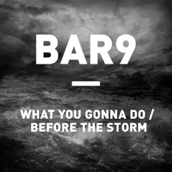 Before the Storm Song Lyrics