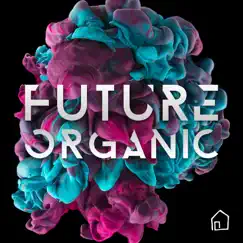 Future Organic by Glenn Herweijer & Ben Sumner album reviews, ratings, credits
