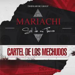 Cartel De Los Mechudos Song Lyrics