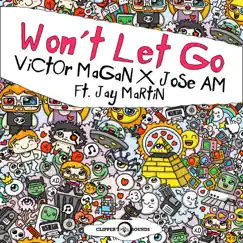 Won't Let Go (feat. Jay Martin) Song Lyrics