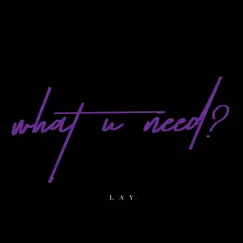 What U need? Song Lyrics