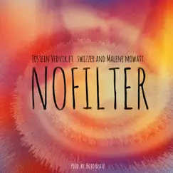 Nofilter (feat. Swizzer & Malene Mowatt) - Single by Jostein Vedvik album reviews, ratings, credits