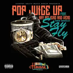 Stay Fly (feat. Ray Peligro & Veno) Song Lyrics