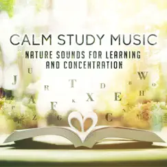Music for Studying (Drums) Song Lyrics