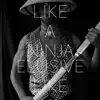 Elusive Like a Ninja - Single album lyrics, reviews, download