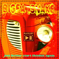 You Better Start Thinking Again - Single by Big Fat Snake album reviews, ratings, credits