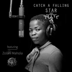 Catch a Falling Star (feat. Zolani Mahola) Song Lyrics