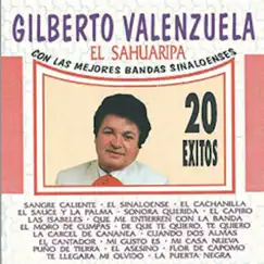 20 Éxitos de Gilberto Valenzuela by Gilberto Valenzuela album reviews, ratings, credits