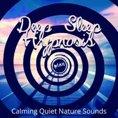 Deep Sleep Hypnosis:Calming Quiet Nature Sounds, Therapy Healing Sleep Songs, Soothing and Relaxing Ocean Waves, White Noise, Insomnia Cure by Healing Meditation Zone album reviews, ratings, credits