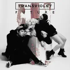 Future - Single by Transviolet album reviews, ratings, credits