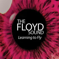 Learning to Fly - Single by The Floyd Sound album reviews, ratings, credits