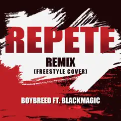 Repete (Sean Stan Remix) - Single by Boybreed album reviews, ratings, credits