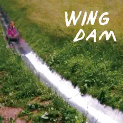 Glow Ahead by Wing Dam album reviews, ratings, credits