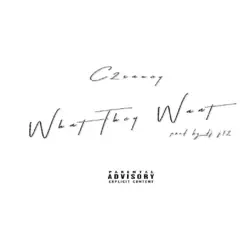 What They Want - Single by C2Saucy album reviews, ratings, credits