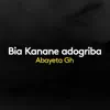 Bia Kalenana Adogriba (feat. Peter Abelwine) - Single album lyrics, reviews, download