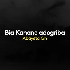 Bia Kalenana Adogriba (feat. Peter Abelwine) Song Lyrics