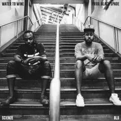 Water to Wine (feat. Blu) - Single by Scienze album reviews, ratings, credits