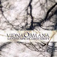 Landscape In Obscurity by VidnaObmana album reviews, ratings, credits