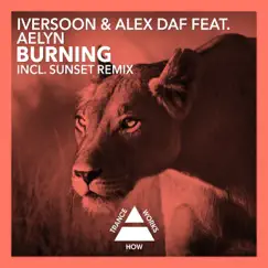 Burning (Dub) [feat. Aelyn] Song Lyrics