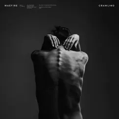 Crawling - Single by Maefire album reviews, ratings, credits