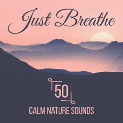 Meditation Study Music to Focus Song Lyrics