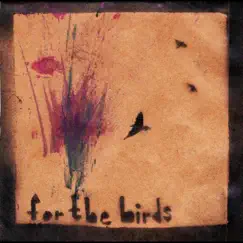 For the Birds by Looking For Astronauts album reviews, ratings, credits