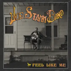 Feel Like Me - Single by Joe Stamm Band album reviews, ratings, credits