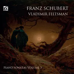Schubert: Piano Sonatas, Vol. 3 by Vladimir Feltsman album reviews, ratings, credits