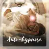 Auto-hypnose - Musique douce pour se délasser et mieux dormir, apaiser l'esprit et calmer le stress, l'atmosphere pour paix intérieure et sommeil profond album lyrics, reviews, download