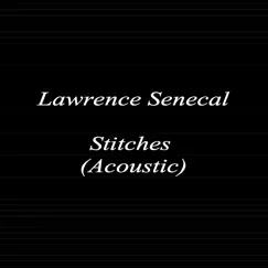 Stitches (Acoustic) Song Lyrics