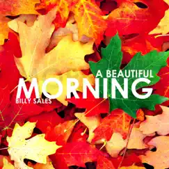 A Beautiful Morning - Single by Billy Sales album reviews, ratings, credits