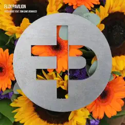 Feels Good (feat. Tom Cane) [Remixes] - EP by Flux Pavilion album reviews, ratings, credits